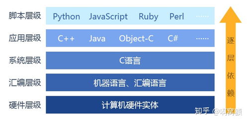 零基础一年内系统学习C语言与Java 时间规划与基础软件服务指南