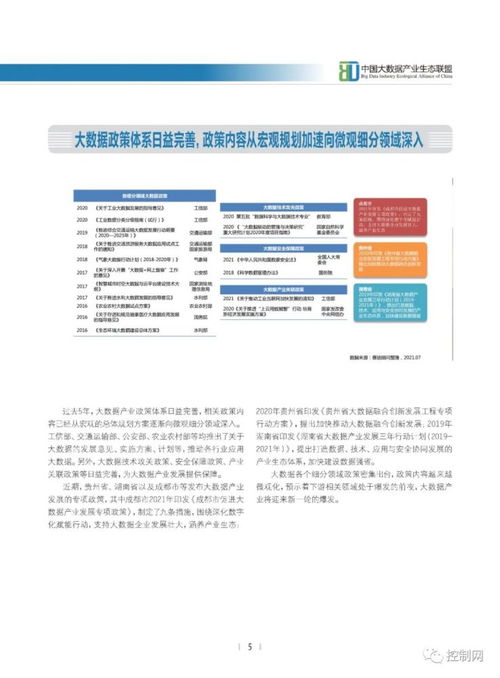 《2021中国大数据产业发展白皮书》解读 基础软件服务，产业数智化的核心基石